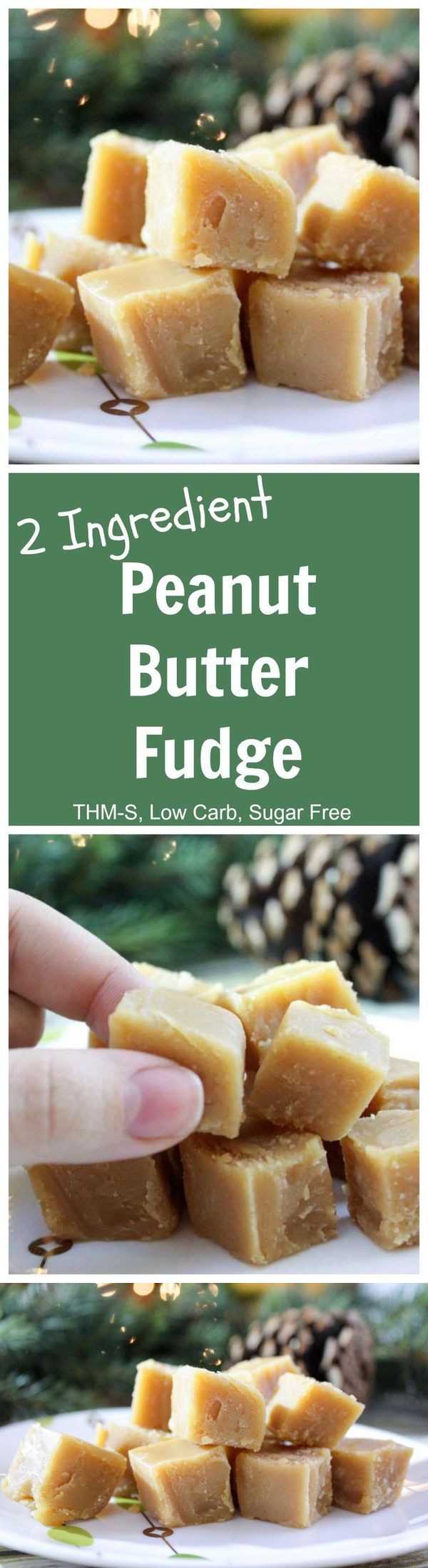 2 Ingredient Peanut Butter Fudge (THM-S, Low Carb, Sugar Free