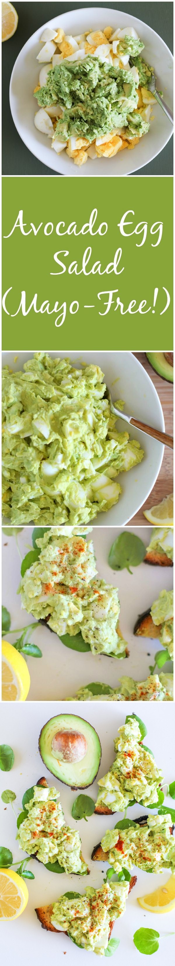 Avocado Egg Salad (mayo-free!