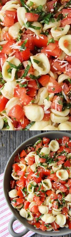 Bruschetta Pasta Salad