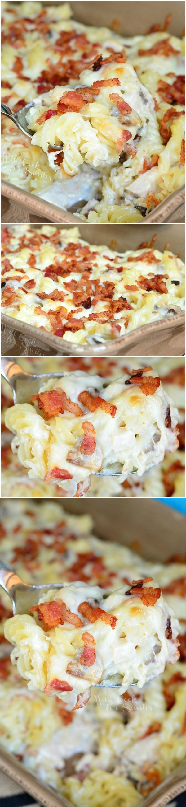 Chicken Bacon Alfredo Pasta Casserole