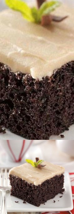 Chocolate Mayonnaise Cake