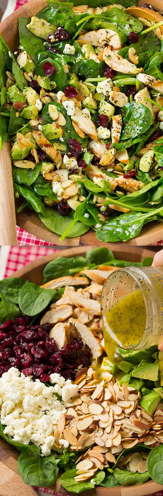 Cranberry Avocado Spinach Salad with Chicken and Orange Poppy Seed Dressing