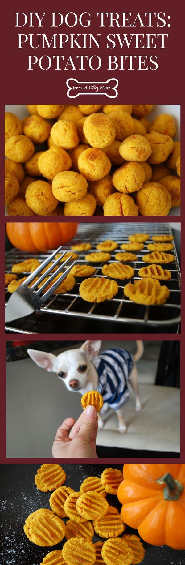 DIY Dog Treats: Pumpkin Sweet Potato Bites