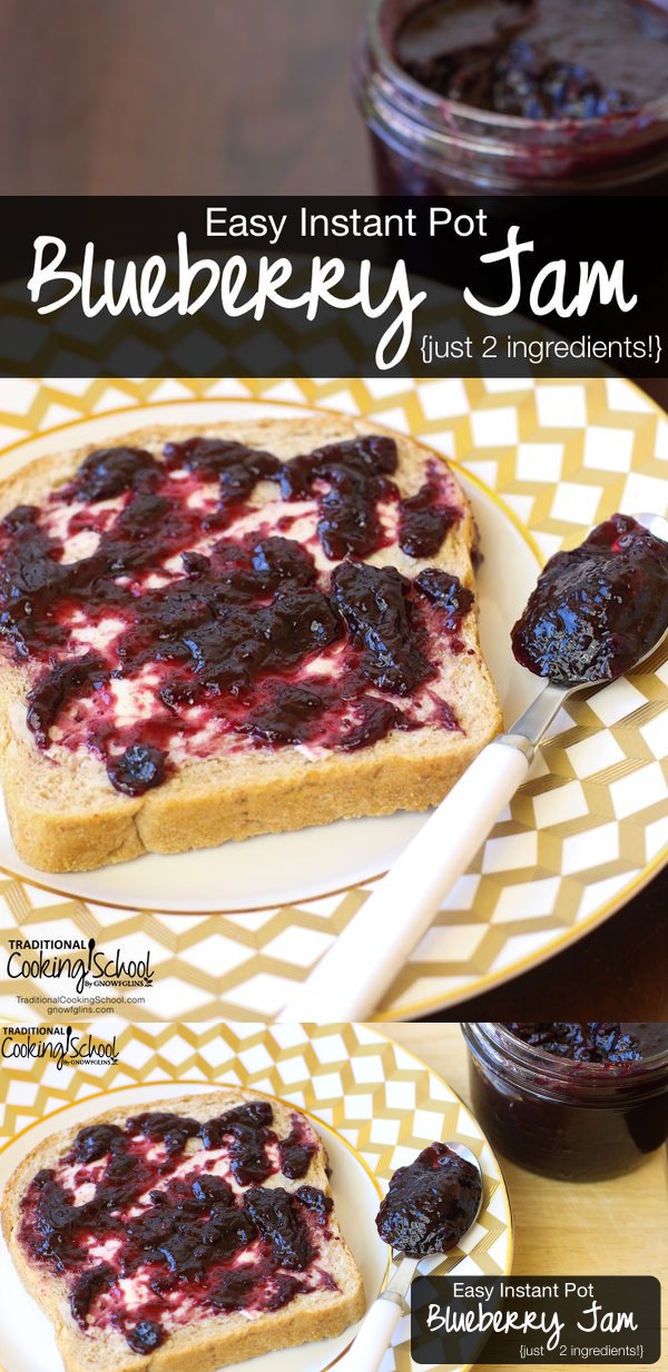 Easy Instant Pot Blueberry Jam (just 2 ingredients!