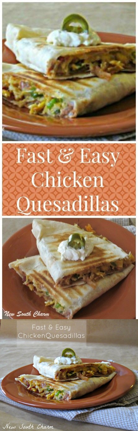 Fast and Easy Chicken Quesadillas