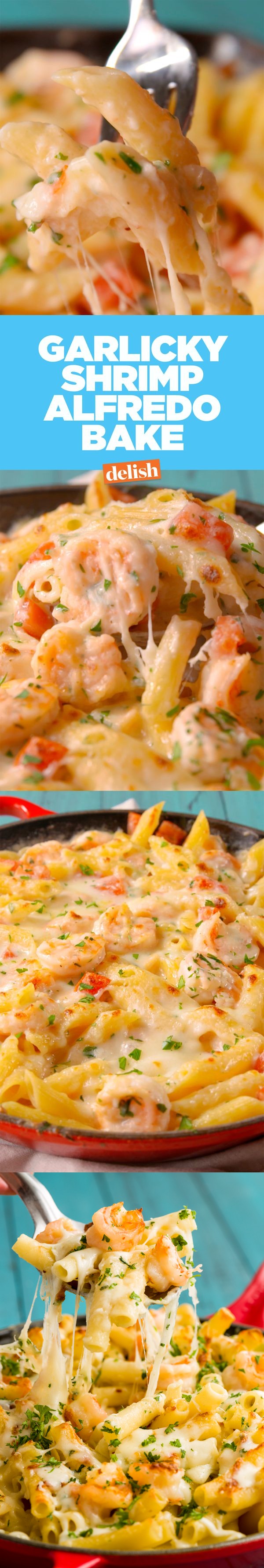 Garlicky Shrimp Alfredo Bake