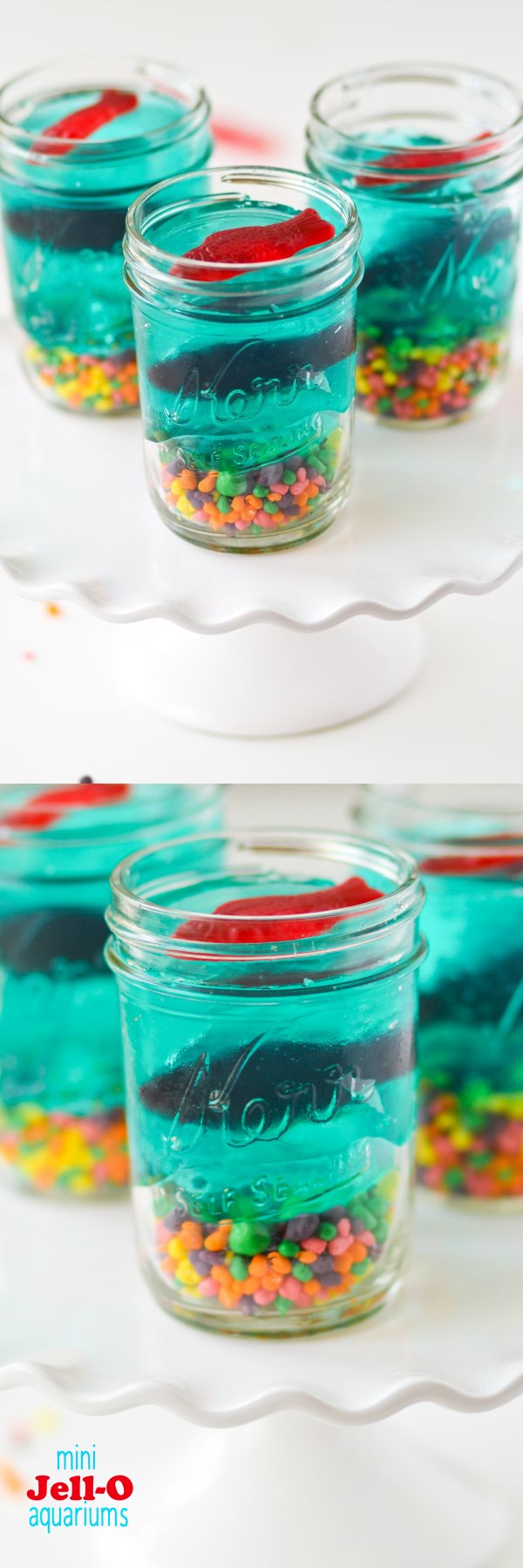 Mini Jello Aquariums