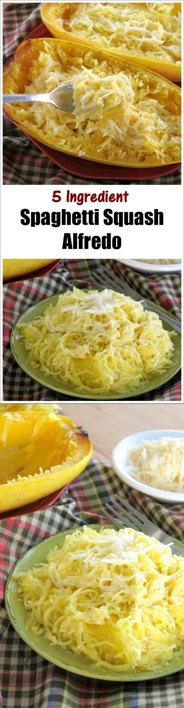 Spaghetti Squash Alfredo - Just 5 Ingredients