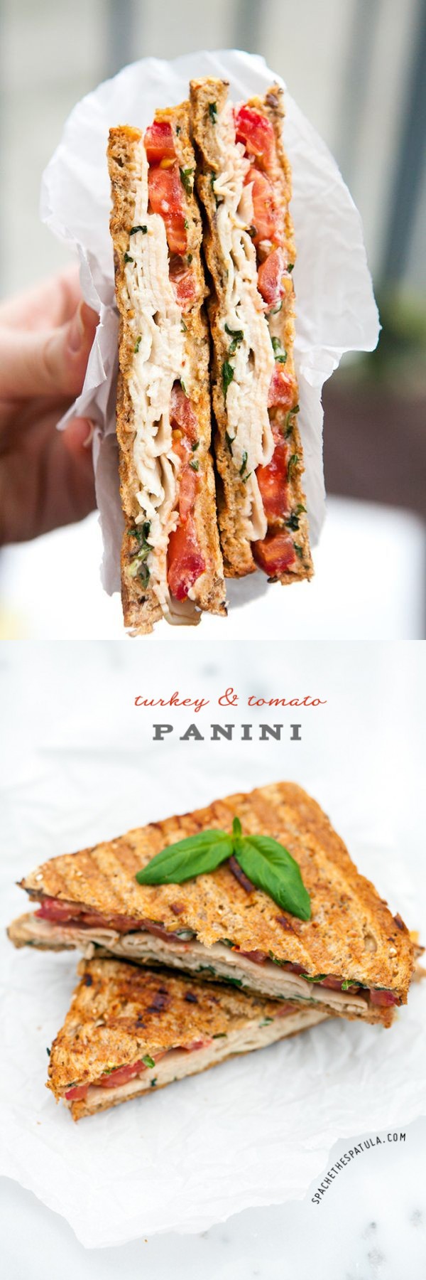 Turkey and Tomato Panini