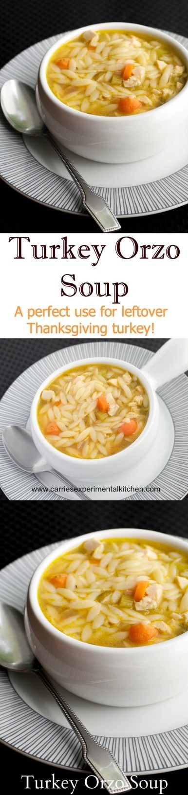 Turkey Orzo Soup