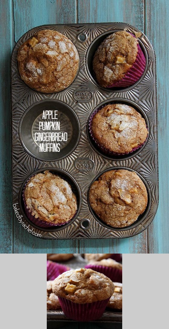 Apple Pumpkin Gingerbread Muffins