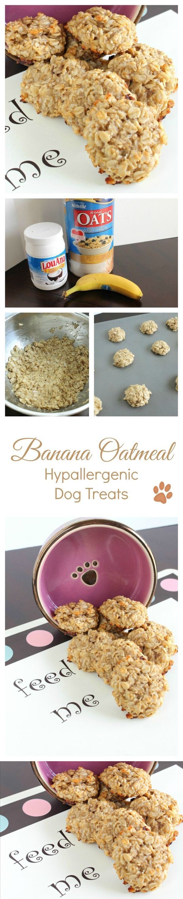 Banana Oatmeal Hypoallergenic Dog Treat