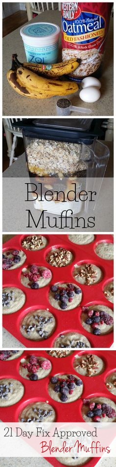 Blender Muffins