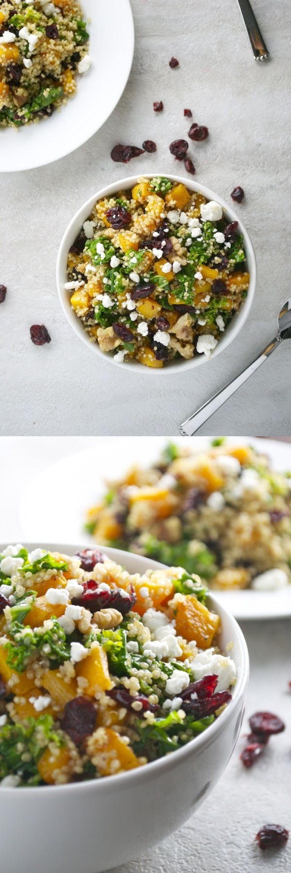 Butternut Squash Quinoa with Kale, Cranberries, Walnuts and Goat Cheese