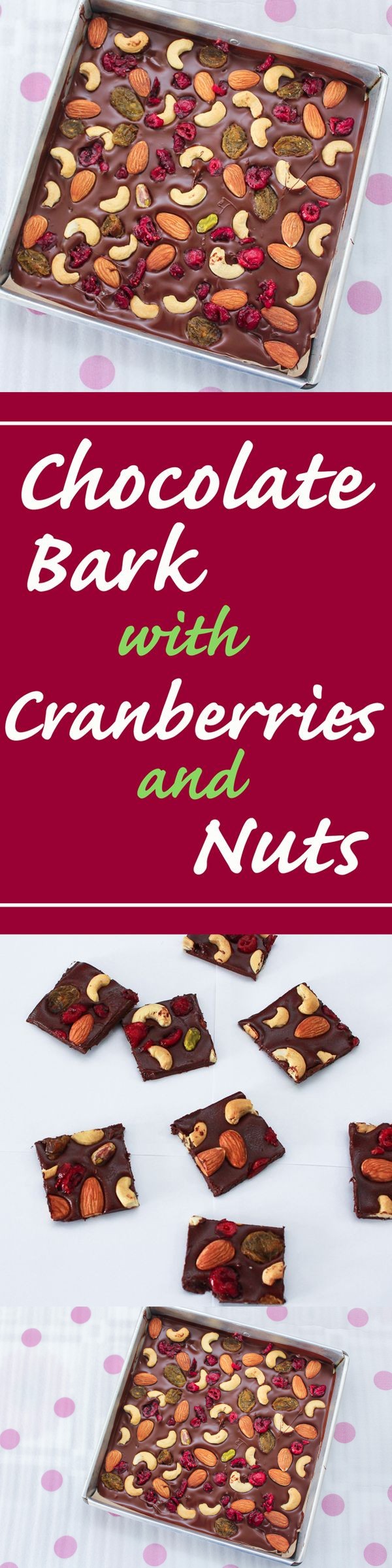 Chocolate Bark with Cranberries and Nuts