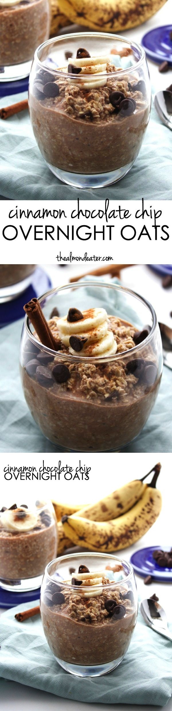 Cinnamon Chocolate Chip Overnight Oats