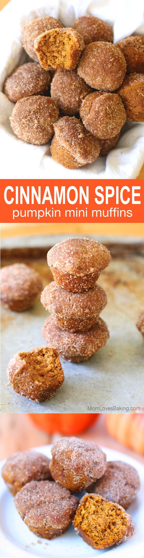 Cinnamon Spice Pumpkin Mini Muffins