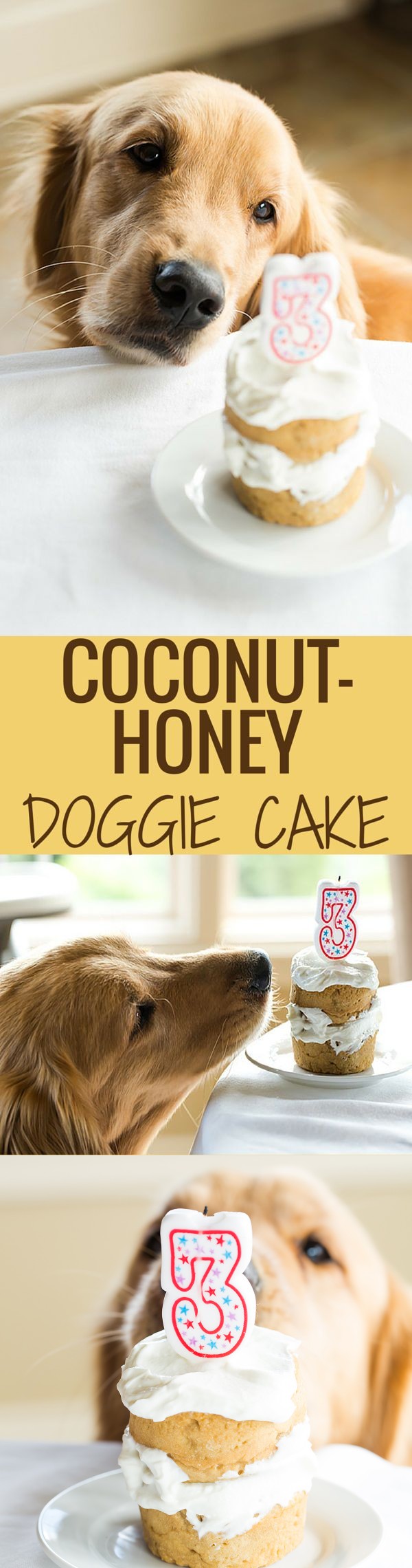 Coconut-Honey Doggy Cake [Happy 3rd Birthday, Duke!]