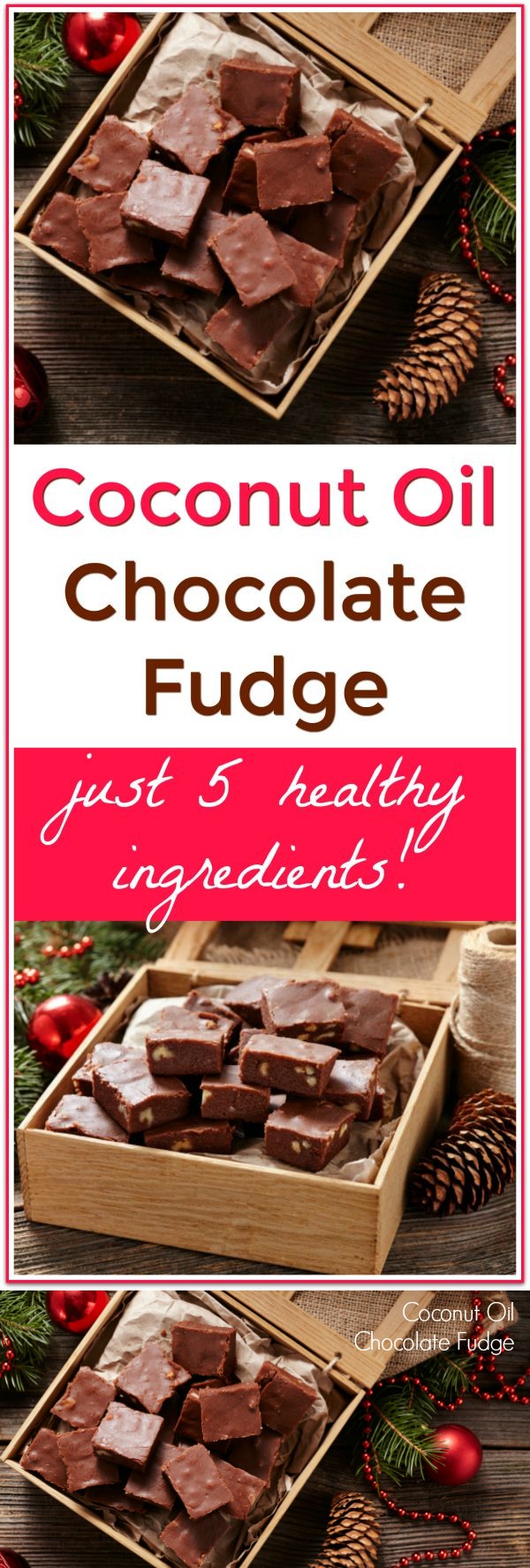 Coconut Oil Chocolate Fudge