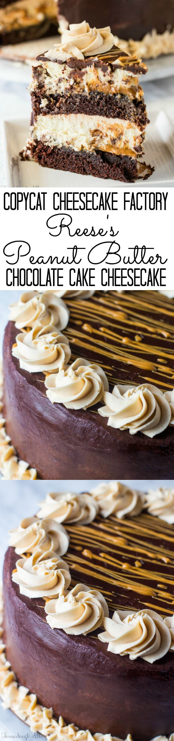 Copycat Cheesecake Factory Reese's Peanut Butter Chocolate Cake Cheesecake