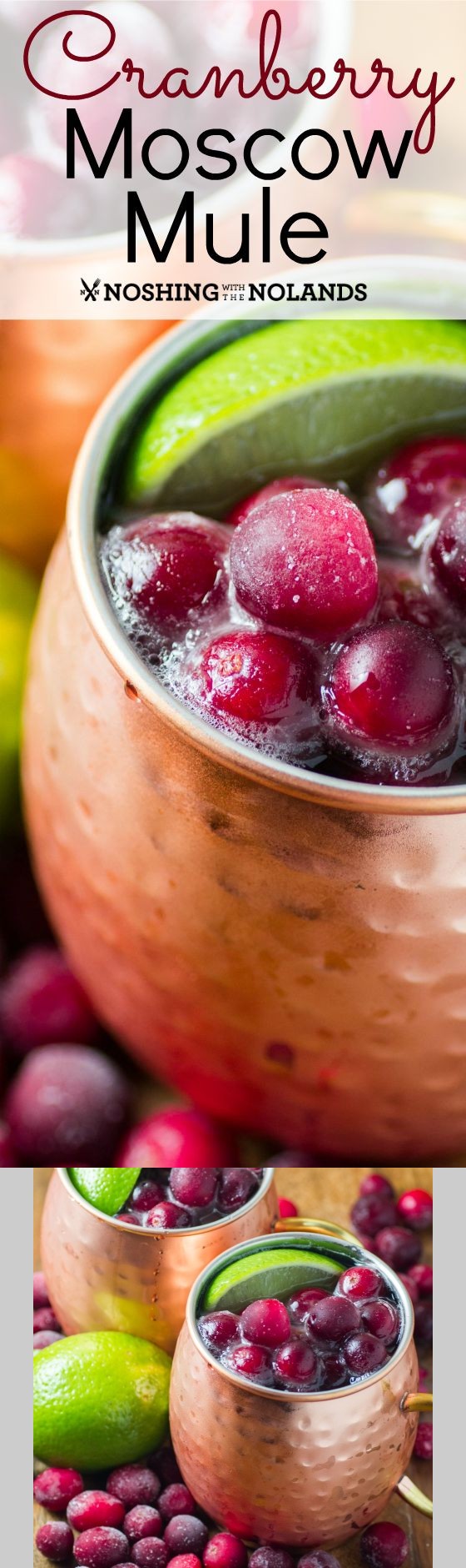 Cranberry Moscow Mule