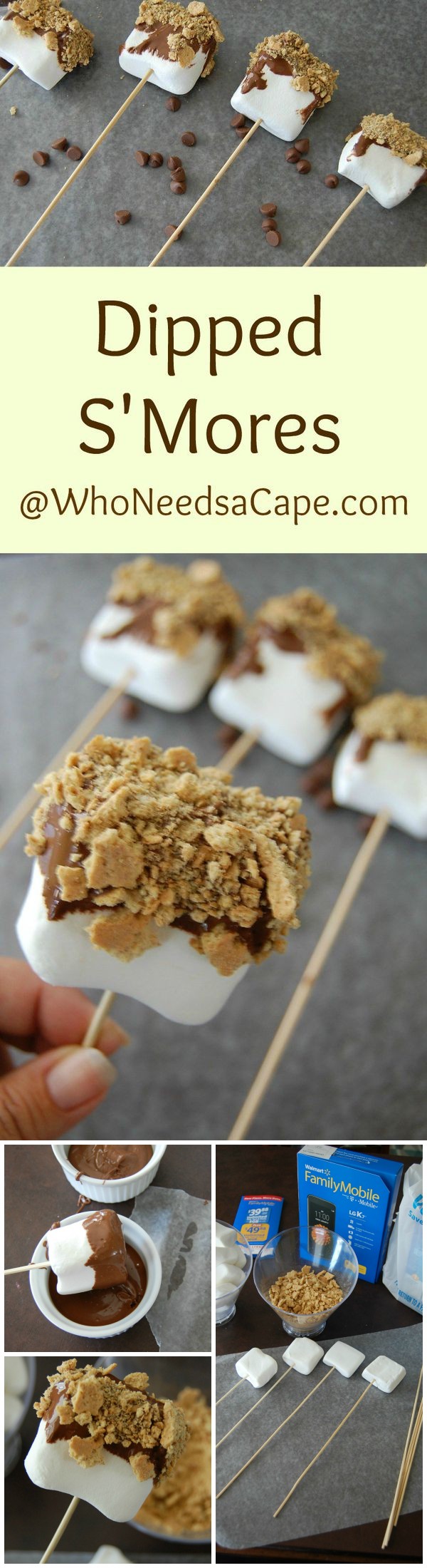 Dipped S’Mores