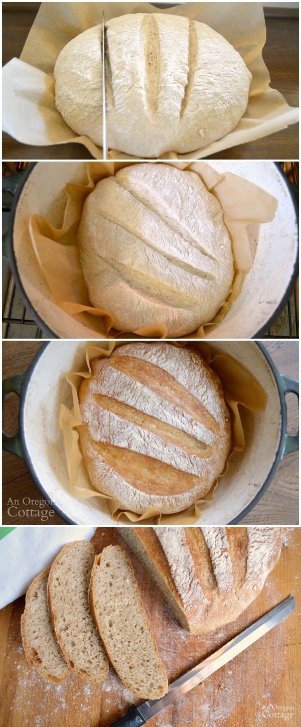 Easy Artisan Bread