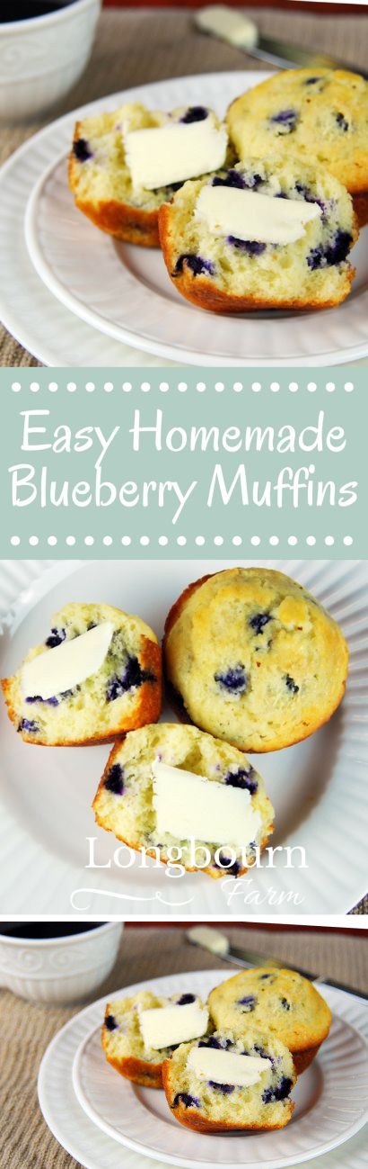 Easy Homemade Blueberry Muffins