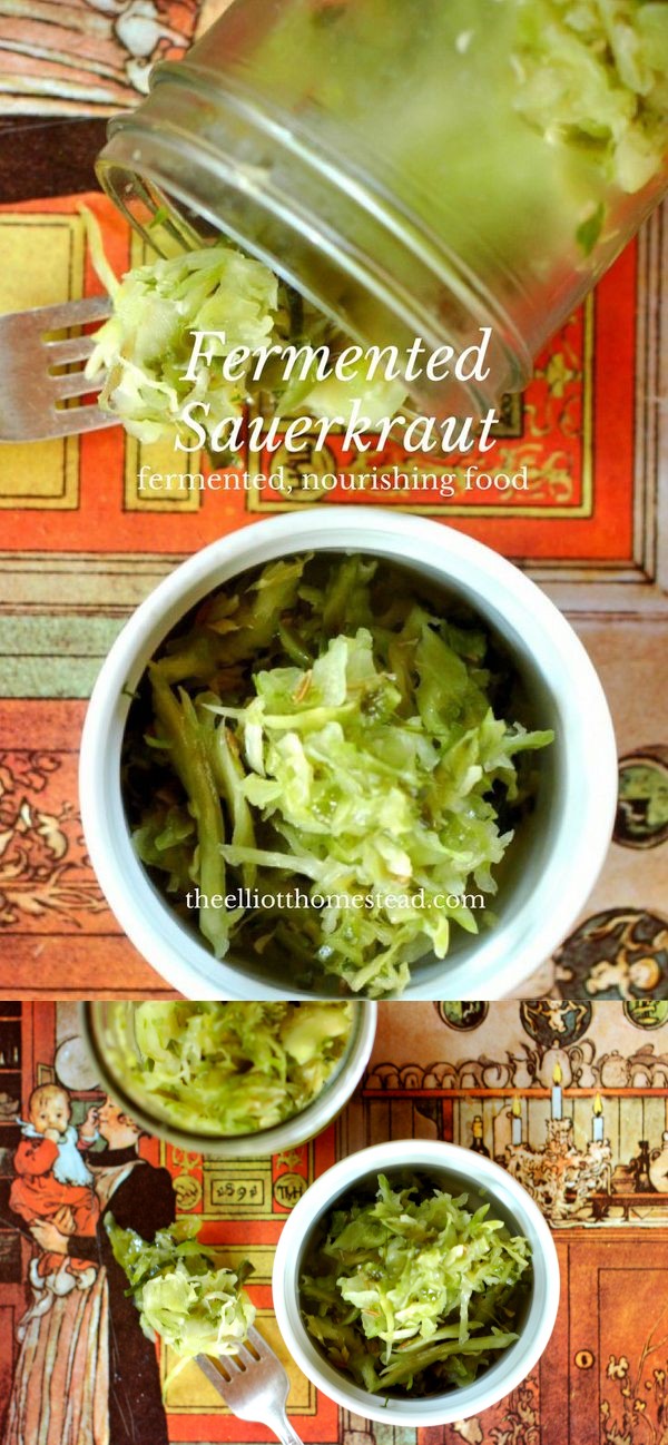 Fermented Sauerkraut