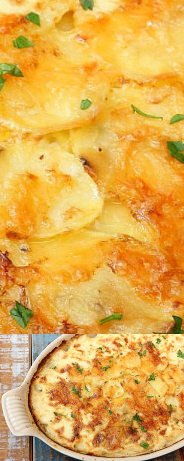 French Gratin Potatoes (Dauphinoise