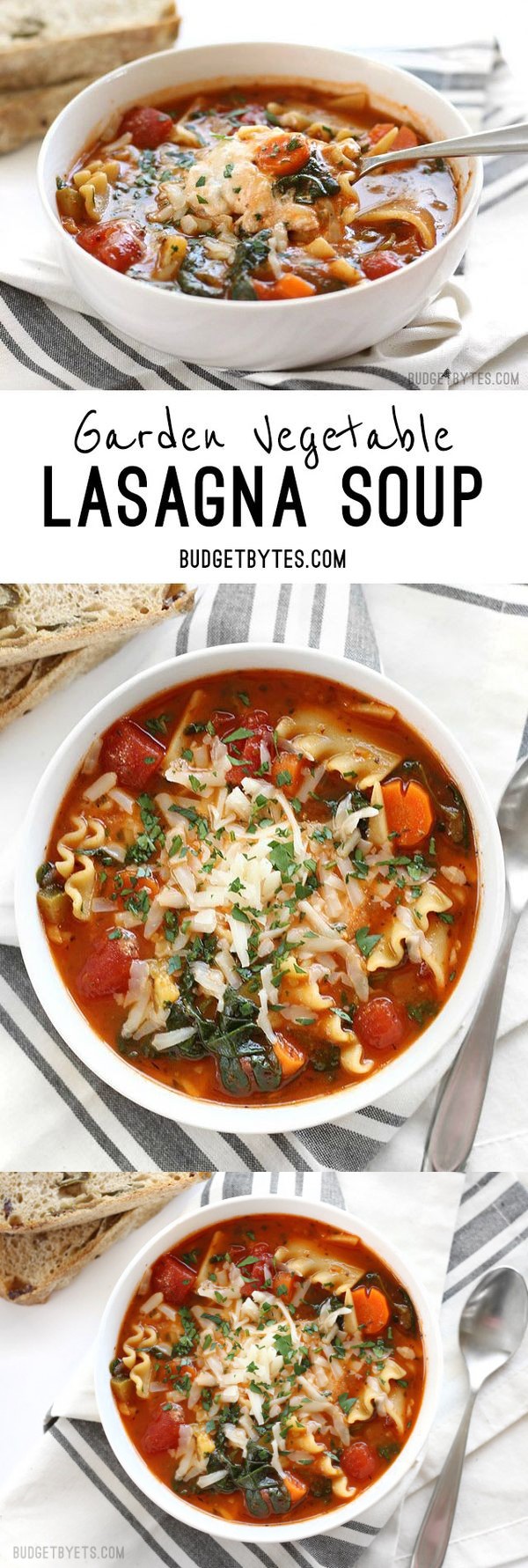 Garden Vegetable Lasagna Soup