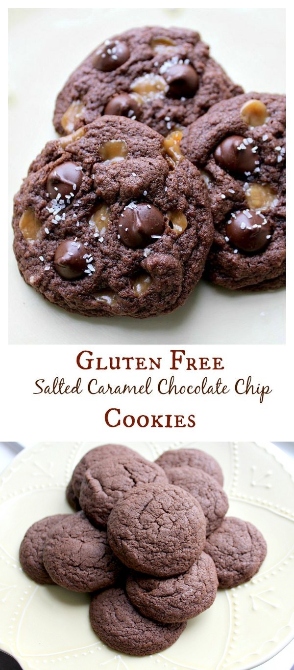 Gluten Free Basic Chocolate Cookies