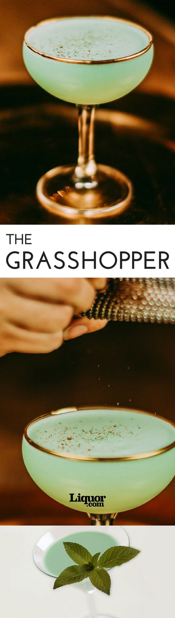 Grasshopper