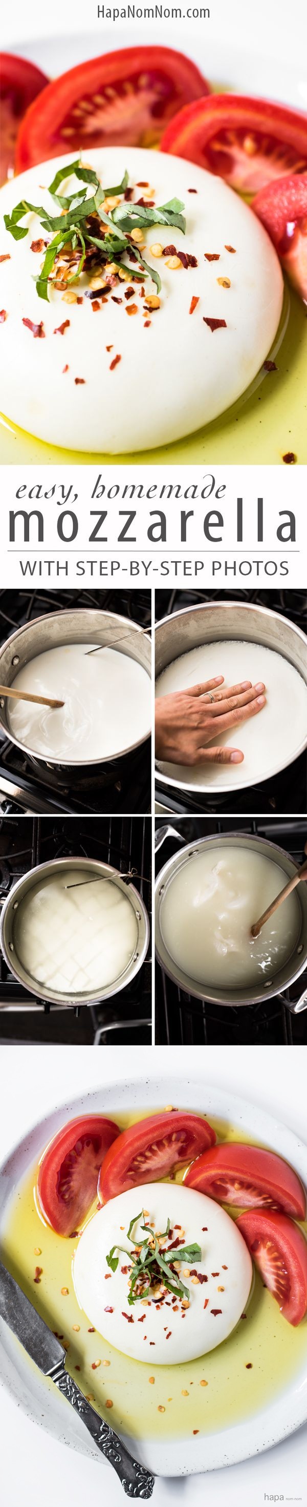 Homemade Mozzarella