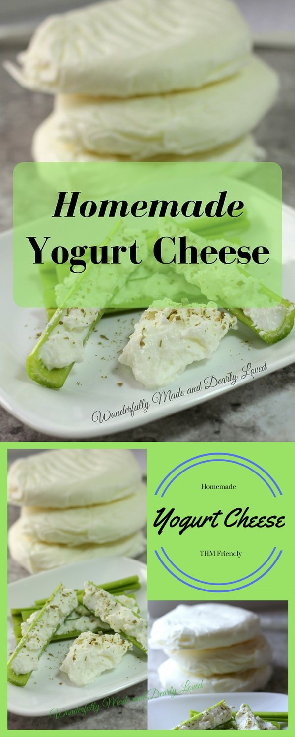 Homemade Yogurt Cheese