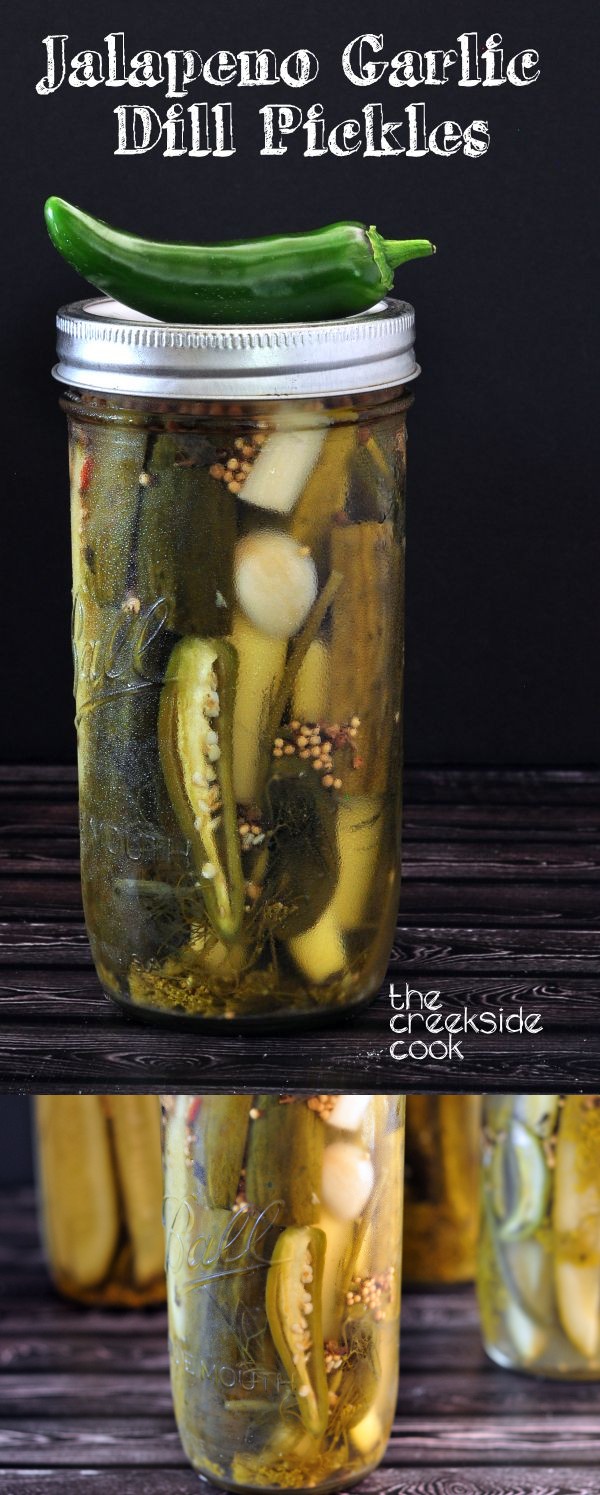 Jalapeno Garlic Dill Pickles