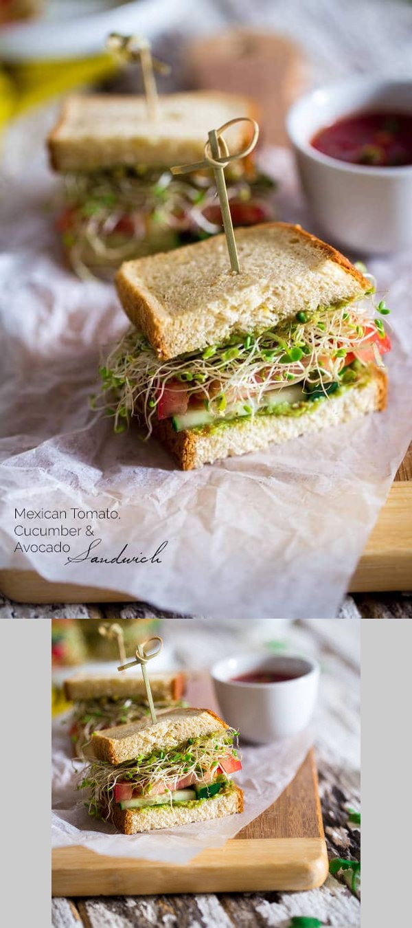 Mexican Avocado Spread Sandwiches with Sprouts