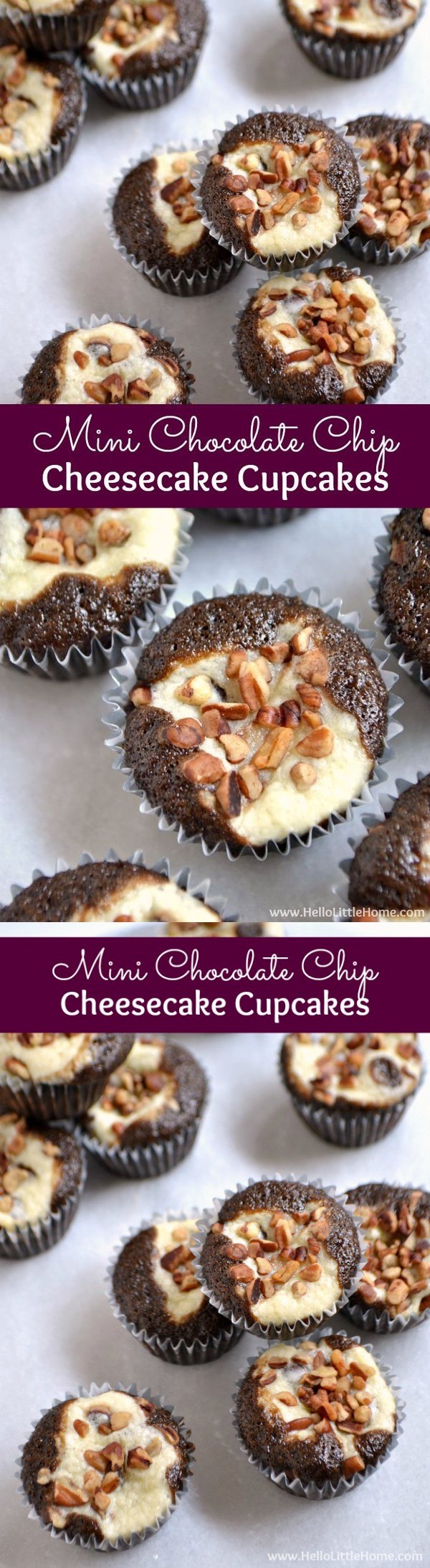 Mini Chocolate Chip Cheesecake Cupcakes