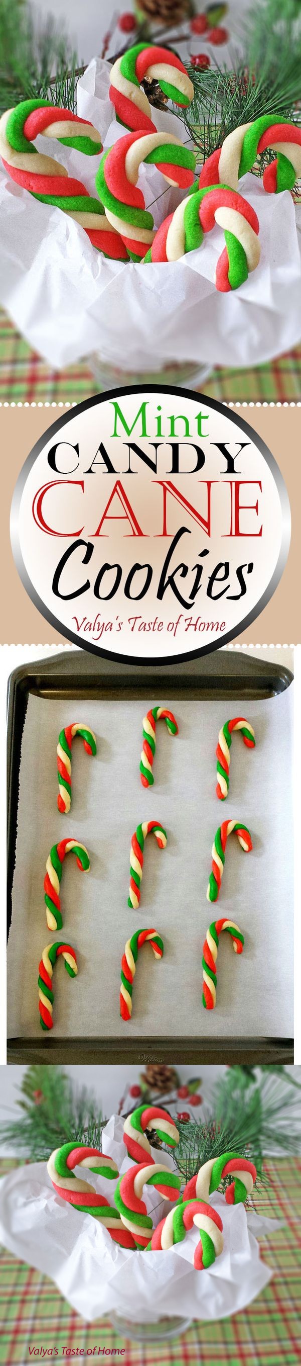 Mint Candy Cane Cookies