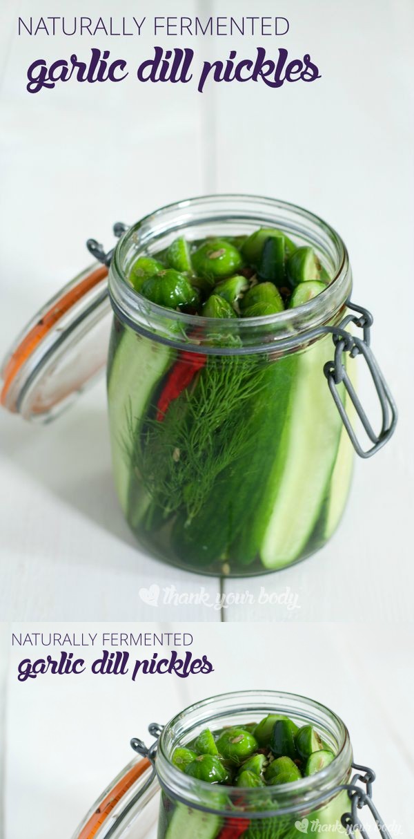 Naturally Fermented Garlic Dill Pickles