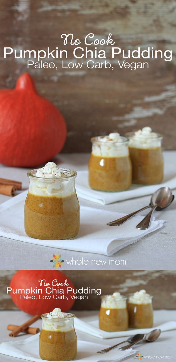 No-Cook Pumpkin Chia Pudding - paleo, vegan, & low carb