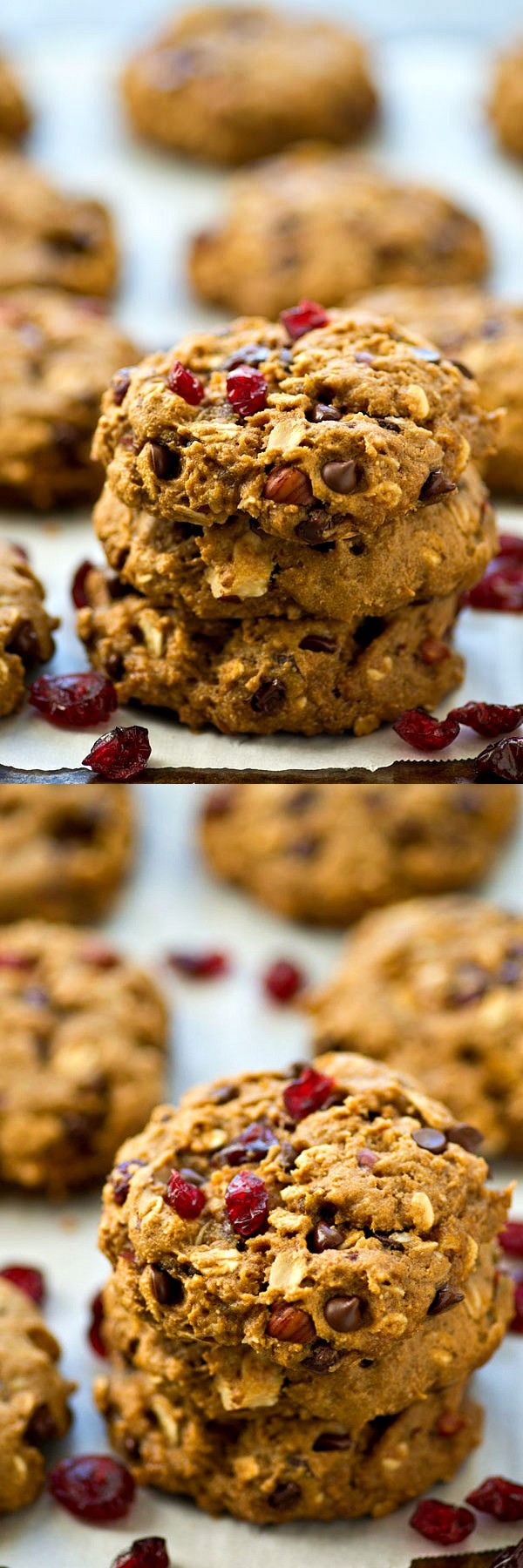 One-Bowl Chocolate Chip Trail Mix Breakfast Cookies