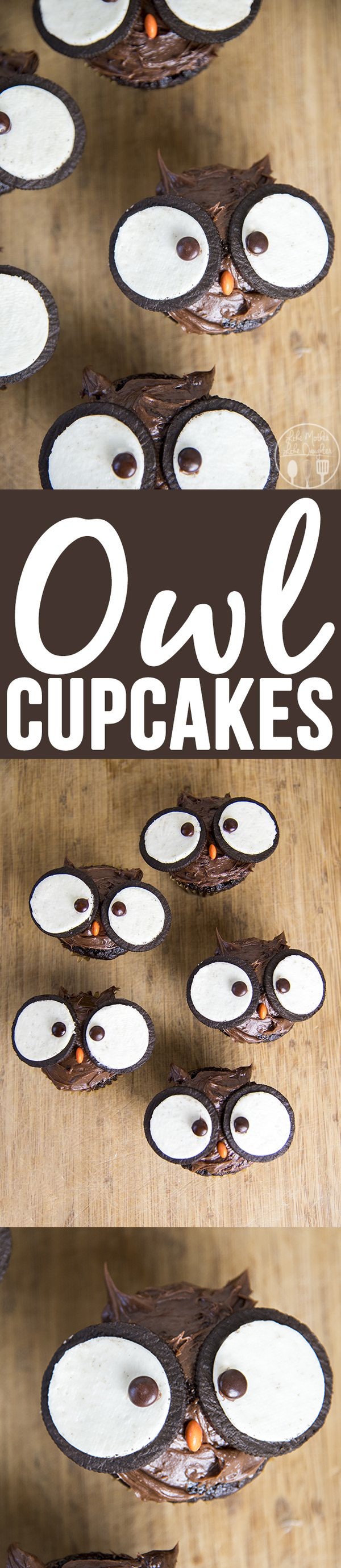 Owl Cupcakes