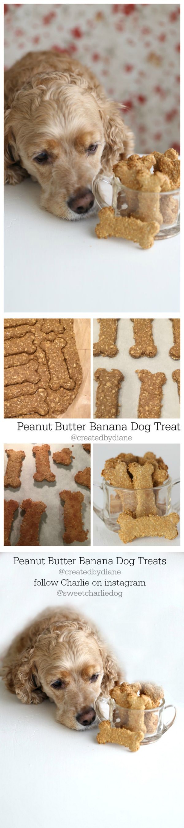 Peanut Butter Banan Dog Treats