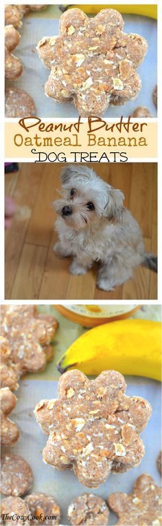 Peanut Butter Oatmeal Banana Dog Treats