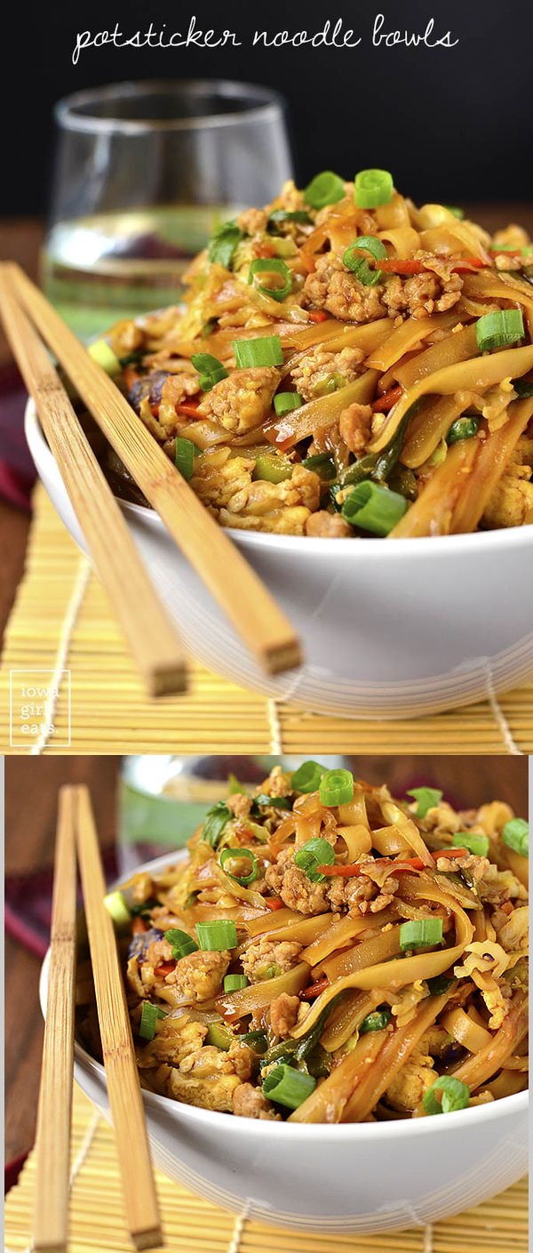 Potsticker Noodles Bowls