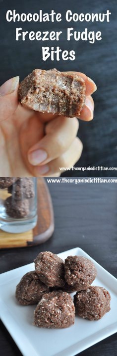 Raw Chocolate Coconut Freezer Fudge Bites