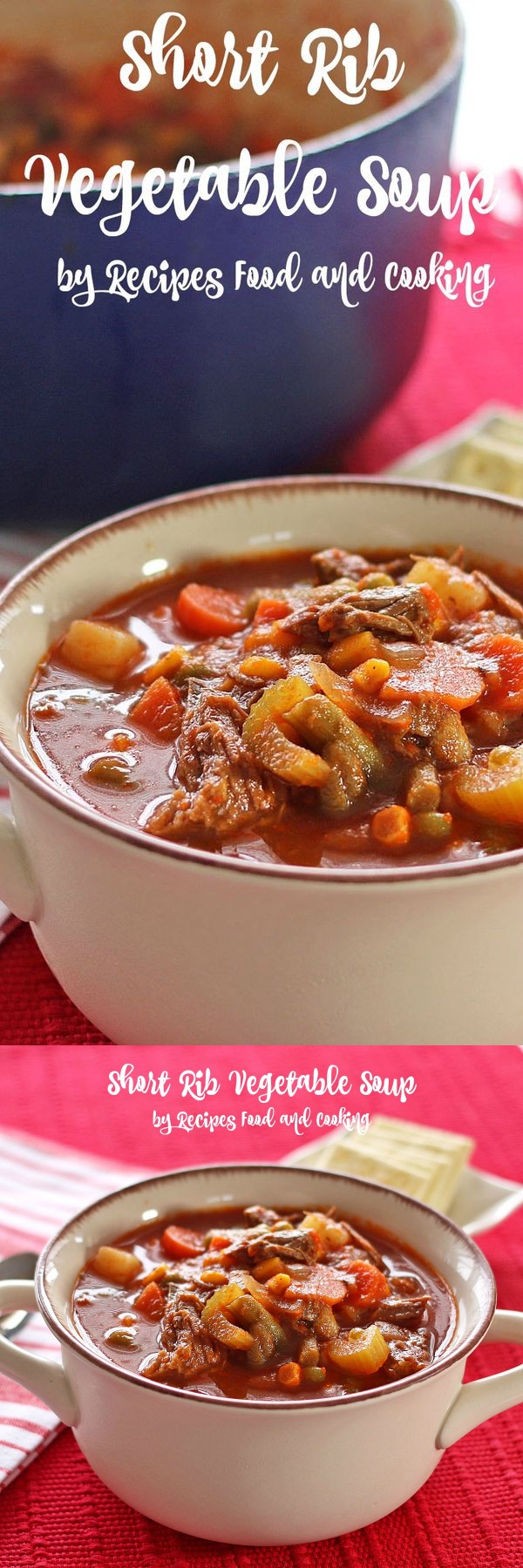 Short Rib Vegetable Soup