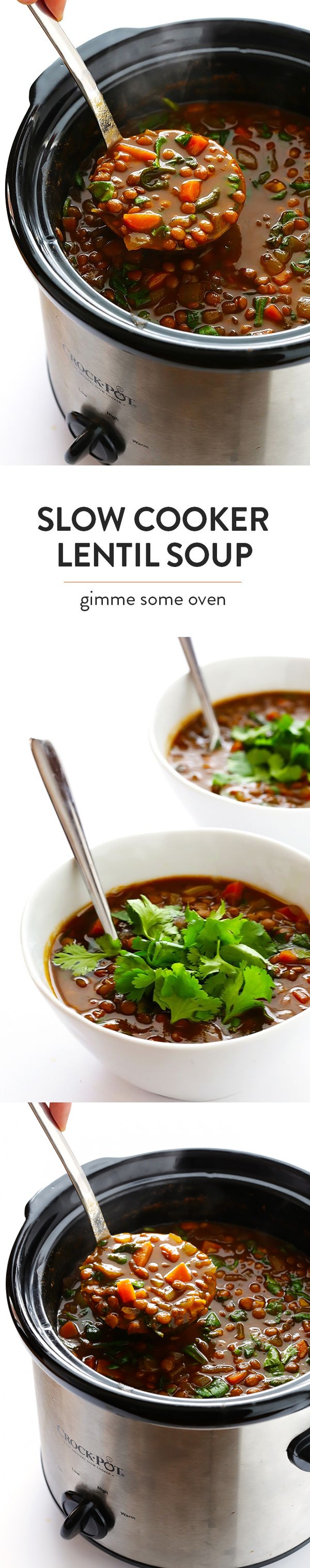 Slow Cooker Curried Lentil Soup