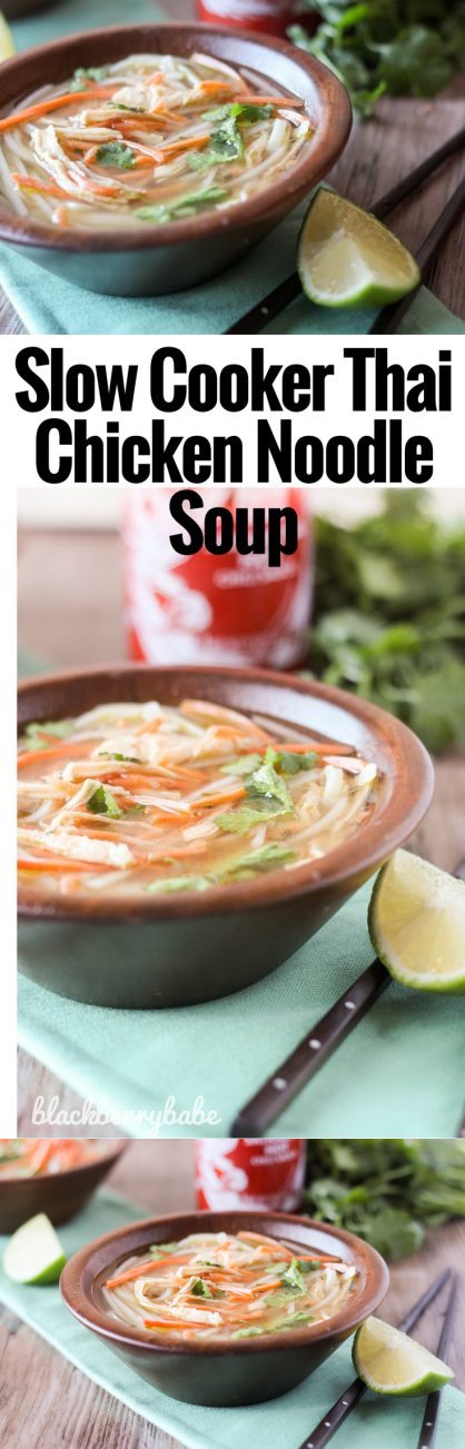 Slow Cooker Thai Chicken Noodle Soup